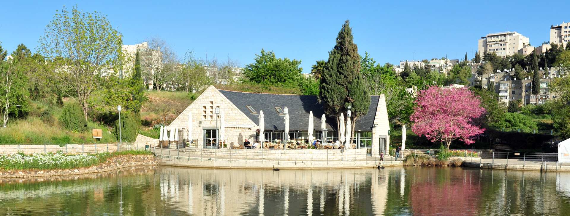 צילום של הגן הבוטני האוניברסיטאי ירושלים