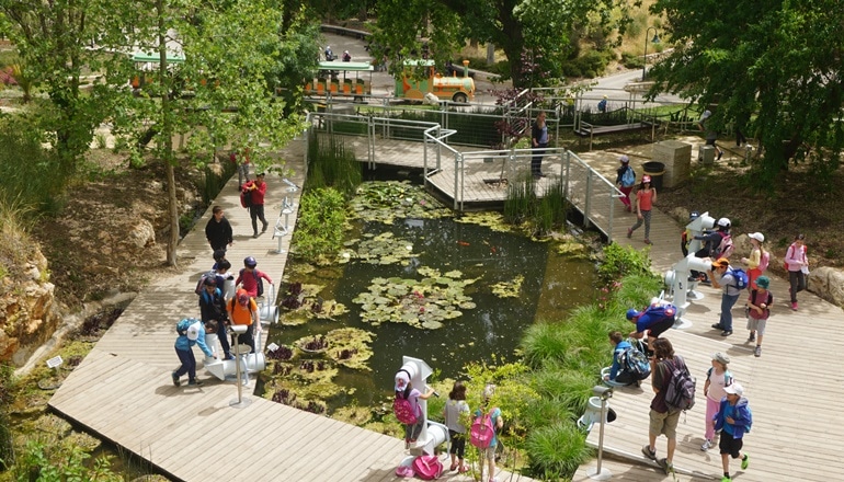 צילום של הגן הבוטני האוניברסיטאי ירושלים