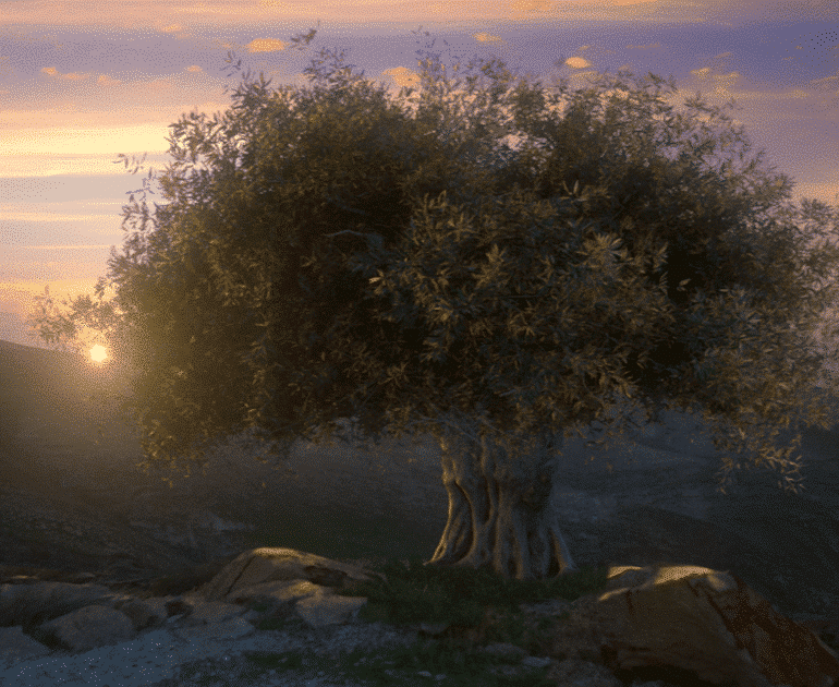 צילום של מוזיאון ידידי ישראל